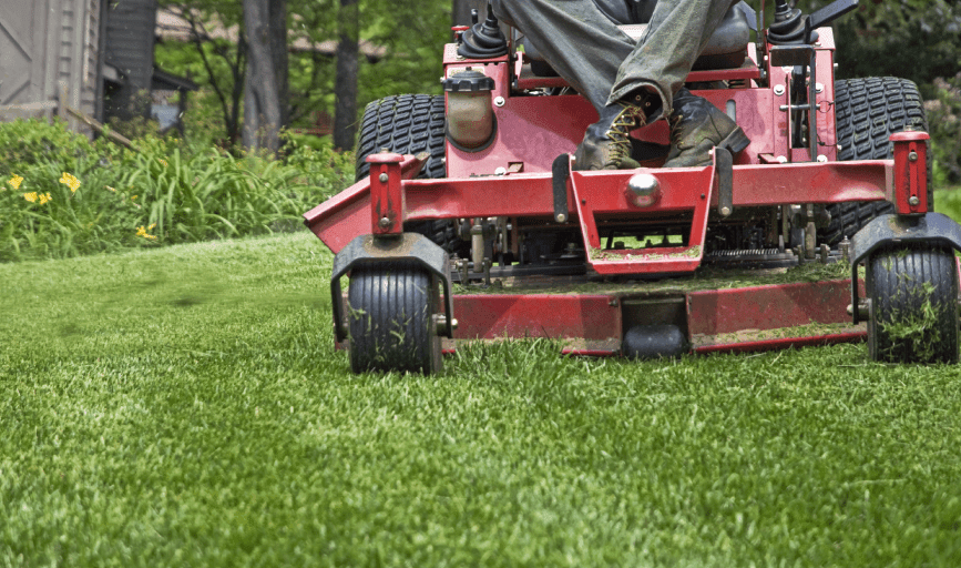 Lawn Maintenance