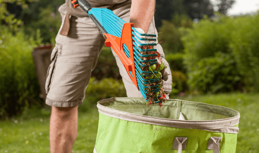 Yard Debris Removal